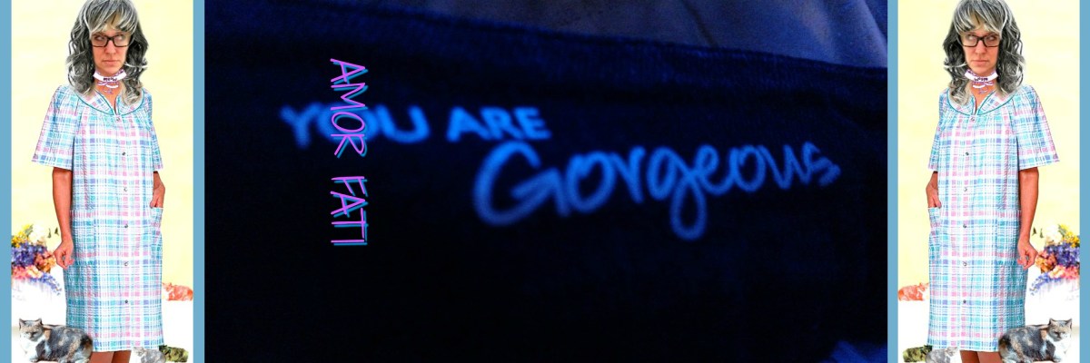 Amor Fati, Mi&nbsp;Amor