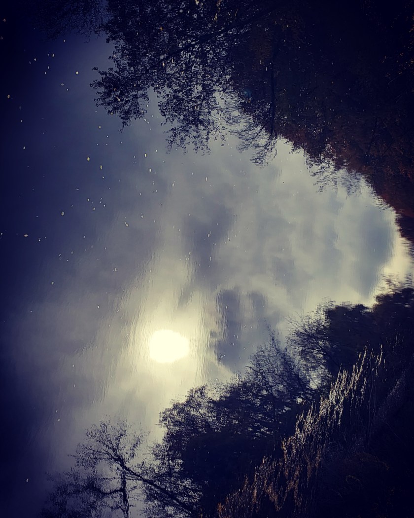 IMG_20181102_170415_862